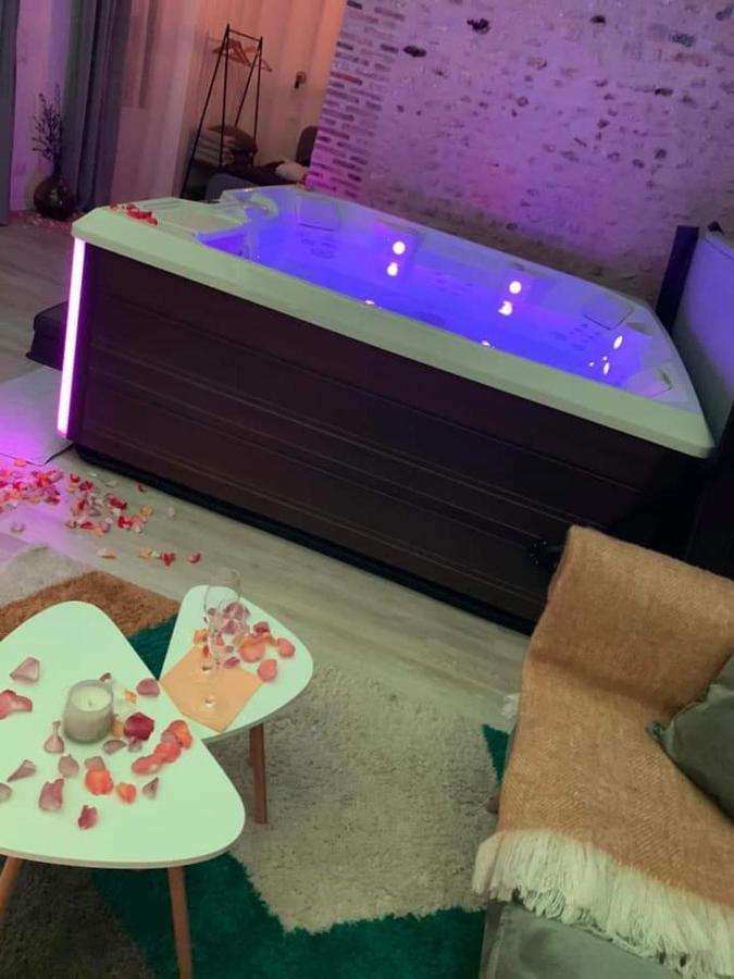 Eaudyssee Maison Avec Spa Privee - Loiret Ladon Kültér fotó